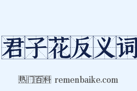 君子花反义词是什么意思的图片